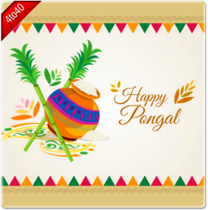 Pongal Rangoli Designer Greeting Card