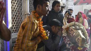 A man whispers prayers in the ear of a bronze idol of Nandi bull at the temple courtyard