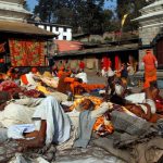 Every year, hundreds of Sadhus from across the different countries arrive at the Bankali and Pashupatinath temple