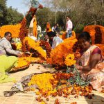 Flowers aplenty: Workers decorating the garden ahead of the rose festival