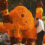 People at work ahead of the rose festival in Chandigarh