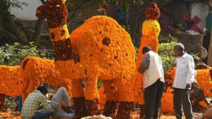 People at work ahead of the rose festival in Chandigarh