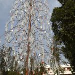 The three-day festival is being organised by Chandigarh municipal corporation