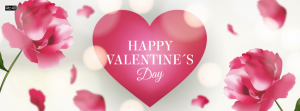 Valentines Day Roses Facebook Cover