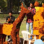 Workers decorating the garden with flowers ahead of the festival in Chandigarh