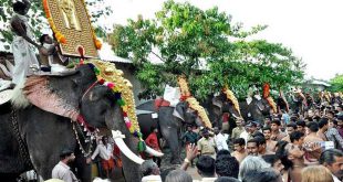 Pariyanampetta Pooram Kattakulam - Kerala Festival