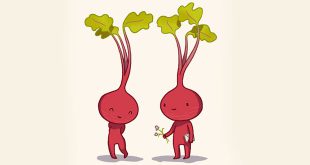 अपने वैलेंटाइन को राशि अनुसार करें प्रपोज Propose your Valentine according to your Sunsign