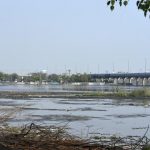 Bhalswa Horseshoe Lake, or Bhalswa Jheel, is a Lake in northwest Delhi. It was originally shaped like a horseshoe. However, over the years half of it was used as a landfill area now a low income housing colony, an extension of the nearby town of Bhalswa Jahangir puri