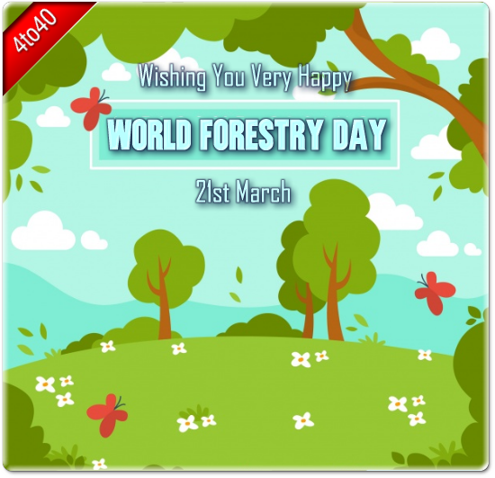 Happy World Forest Day Greeting