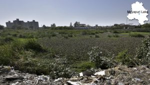 Mayapuri Lake, below the Naraina-Mayapuri flyover used to be full during the rainy season. In rural areas, these work as sewage dumps. However, government efforts remain mere on-paper exercises