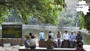 Prasad Nagar Lake Park also known as Jheel Park is located in Patel Nagar of West Delhi. In July, the Delhi Jal Board had announced reclamation of around 100 such water bodies. Nothing substantial, however, has happened ever since