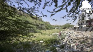 Sewer carrying chemical waste from Tughlaqabad Village Lake in New Delhi. In June 2016, the National Green Tribunal also directed the Delhi government to clean and restore all the natural water bodies