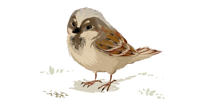 आओ चिड़िया - पक्षी चिड़िया पर बाल-कविता