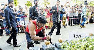 Most coconuts smashed in one minute