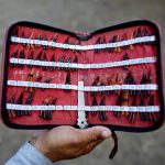 A cockfighting enthusiast shows spurs made from tortoiseshell