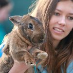 A girl holds her rabbit as she watches a rabbit track and field competition
