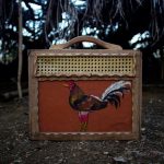 A handmade case used to transport a rooster