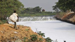 A ragpicker looks for recyclable material on the banks of Bellundur Lake, filled with toxic froth from industrial pollution, on the eve of Earth Day in Bangalore. National Green Tribunal on Wednesday directed immediate and complete shutdown of all industries around the water body.