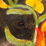 An elephant is painted in celebration of the Songkran water festival in Ayutthaya province, north of Bangkok, Thailand, on April 11, 2017