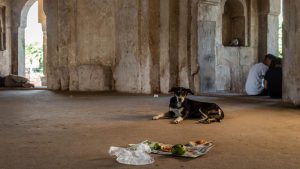 At Adham Khan’s tomb, one finds locals walking about its hallways, children playing in the courtyard, groups engaged in card games, people napping, stray animals and even young couples tucked away in its many corridors.