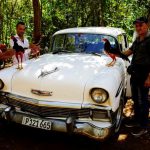 Cockfighting is a blood sport because of the harm cocks do to each other in cockpits, exacerbated by metal spurs that can be attached to birds’ own spurs