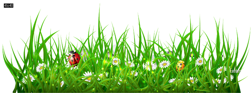 Easter Grass Designs Facebook Cover
