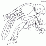 Parrot Embroidery Design