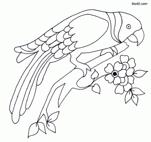 Parrot Embroidery Design