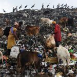 Scavengers collect recyclable materials at a garbage dump site on the occasion of Earth Day, in Guwahati.