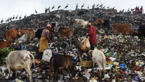Scavengers collect recyclable materials at a garbage dump site on the occasion of Earth Day, in Guwahati.