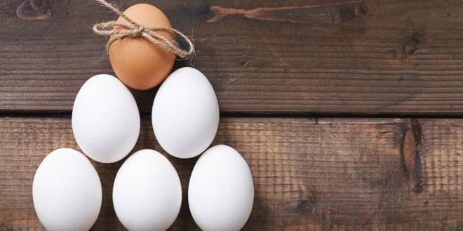 Easter History: Christian Culture & Traditions