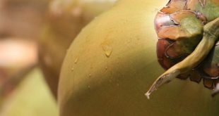 हुआ पसीने से तर: तपती गर्मी पर हिंदी बाल-कविता