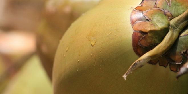 हुआ पसीने से तर: तपती गर्मी पर हिंदी बाल-कविता