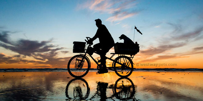Longest journey on a motorized bicycle