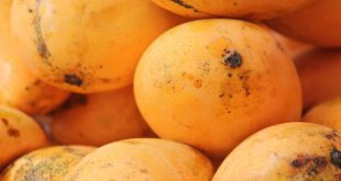 आम - फलों के राजा आम पर बाल-कविता