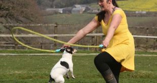 Most skips by a dog and person in one minute