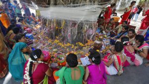Women perform rituals around a Banyan tree on the first day of the festival. These rituals are an inspiration from a legendary story of a woman called Savitri, who wins her husband back to life from the god of death `Yama,’ by her sheer determination and devotion.
