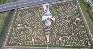 Largest hedge maze