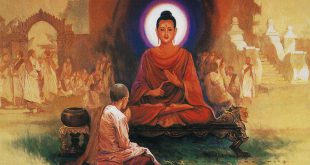 Life of Buddha: Early Life, Education, Enlightenment