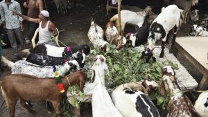 Also known as the ‘sacrificial feast’, the second Eid of the year will be celebrated worldwide from the evening of September 1. Eid al-Adha as per the lunar calendar begins on the tenth day of Dhu’l-Hijjah, the final month of the Islamic calendar. This Eid falls after the Arafat Day of the annual Hajj pilgrimage to the holy cities of Mecca and Medina in Saudi Arabia, a journey obligatory upon all abled Muslim men and women once in their lifetime.