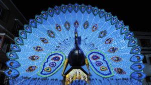 At the Monotosh Smritisangha Durga Puja in Rashbehari, South Kolkata, India’s national bird, the peacock, finds itself central to the pandal’s decorative aesthetic.