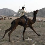 A man rides on the back of his camel during the Pushkar Camel Fair in Pushkar, Rajasthan