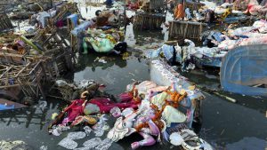 Since there is no testing of materials that are used in the manufacture of idols and puja committees are not under pressure to conform to the guidelines, every year the problem recurs, causing even more damage to a river that is already in its death throes.