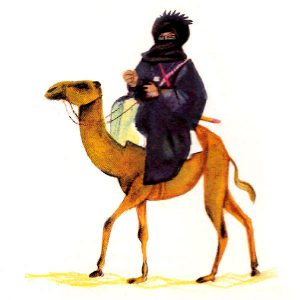 A Berber nomad on his camel