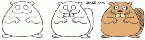 Beaver