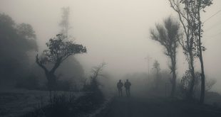 मत कहो, आकाश में कोहरा घना है: दुष्यंत कुमार