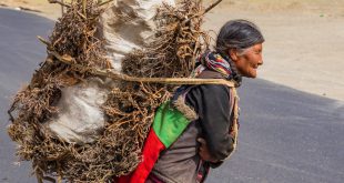 कहाँ तो तय था चराग़ाँ हर एक घर के लिये: दुष्यंत कुमार