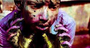 What is Social Significance of Holi?