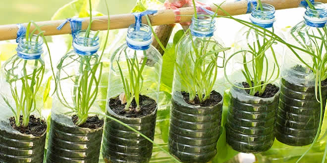 Chhattisgarh Reuses Bottles To Grow Plants