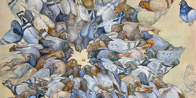 Rimjhim And Pigeon's Eggs: Wisdom Story